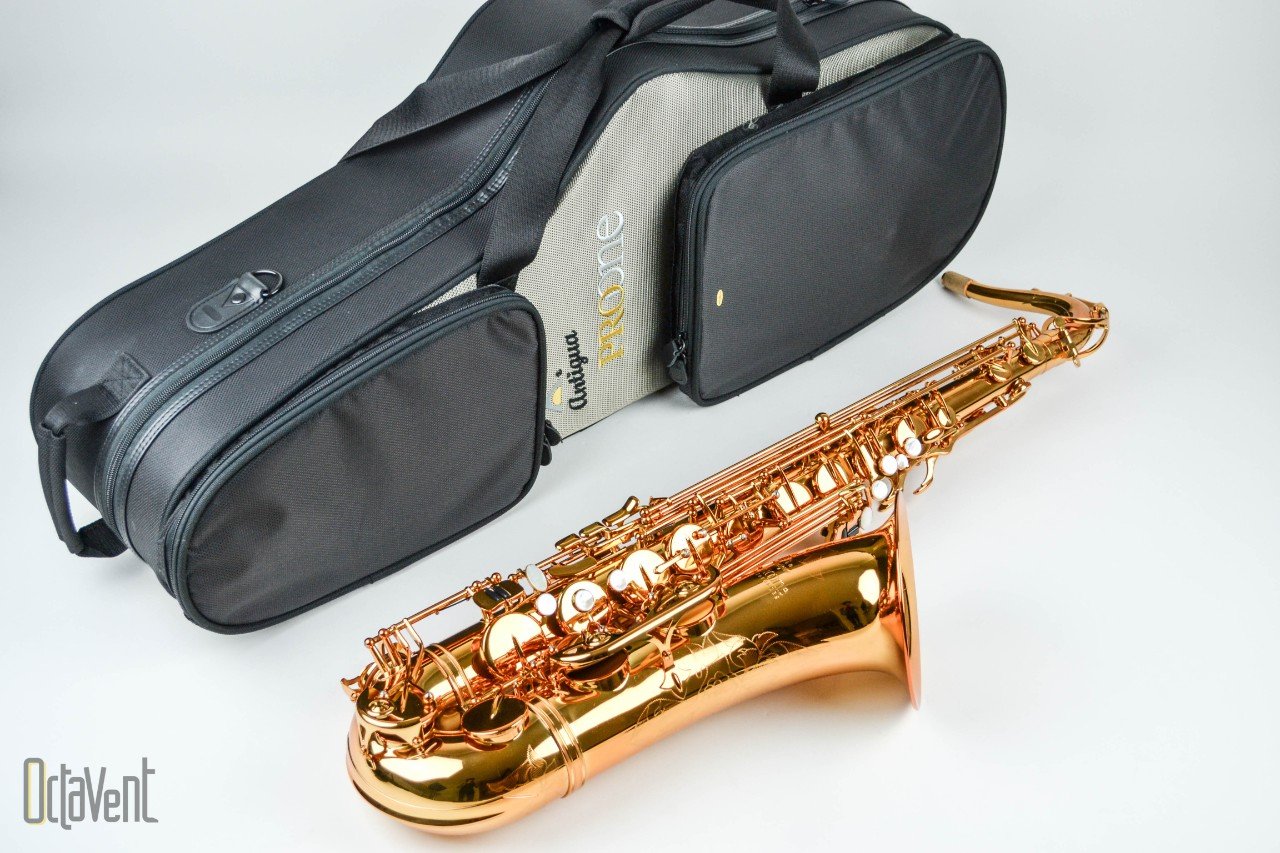 dsc-0389-2