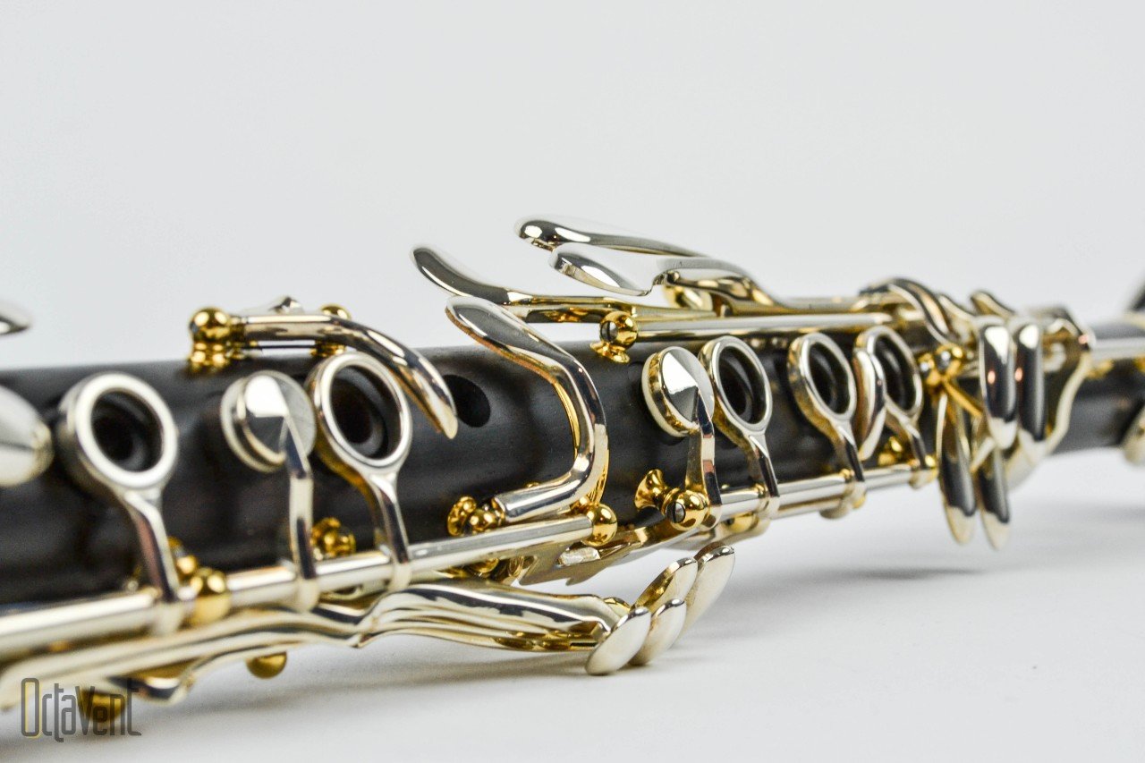 dsc-0494