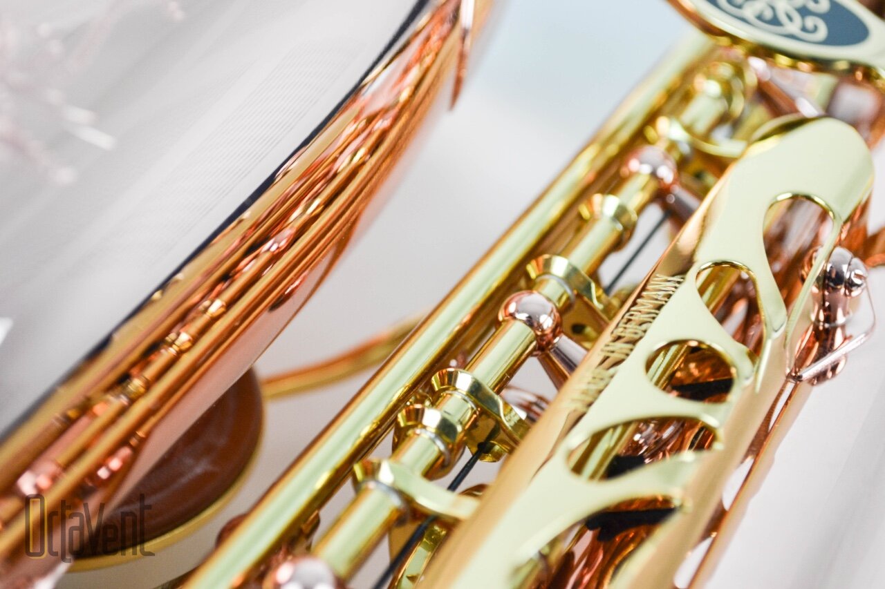 sax-alto-buffet-senzo-bronze-13